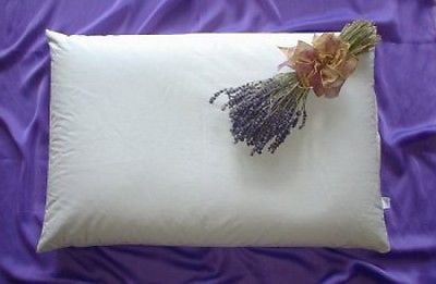 best buckwheat pillow
